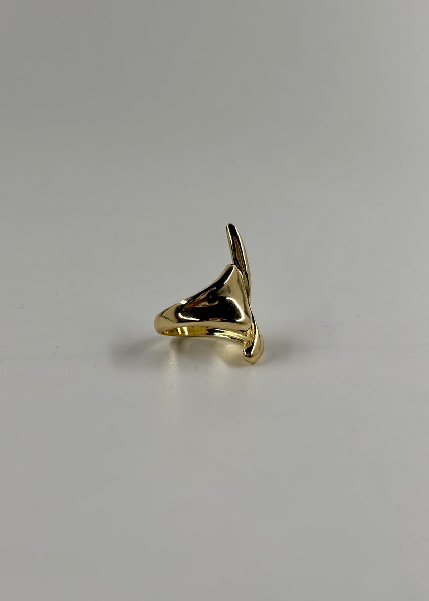 Anillo escurrido largo
