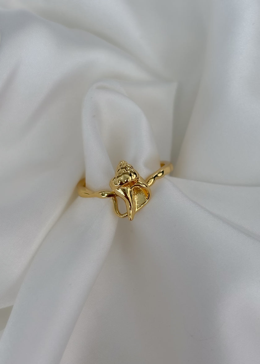 Anillo caracol de mar