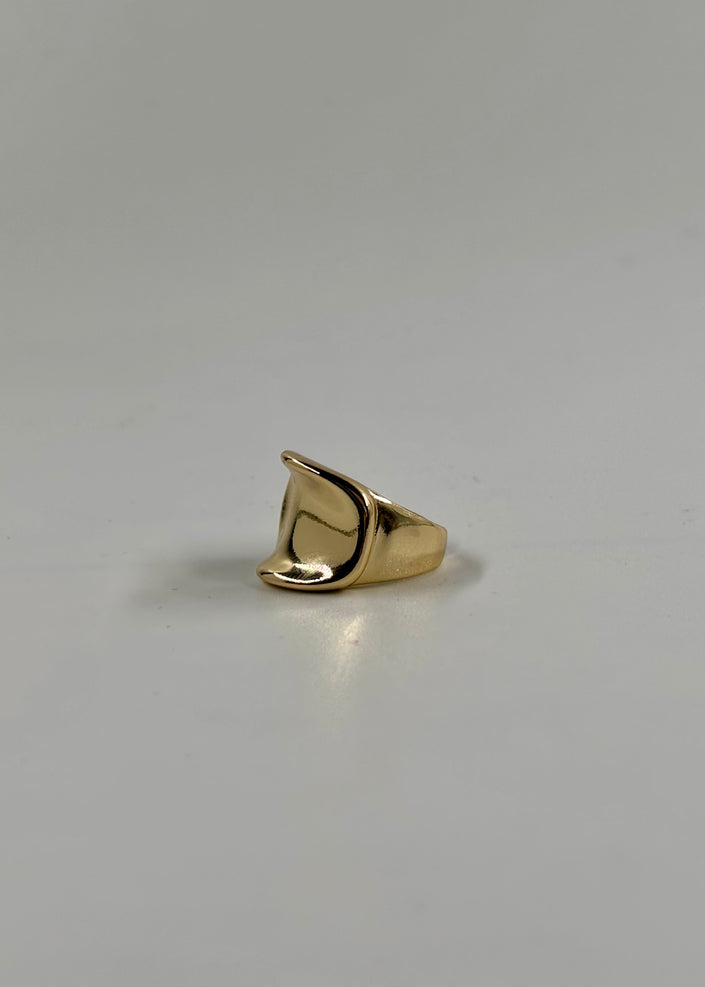 Anillo cuna