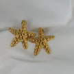 Aretes estrella