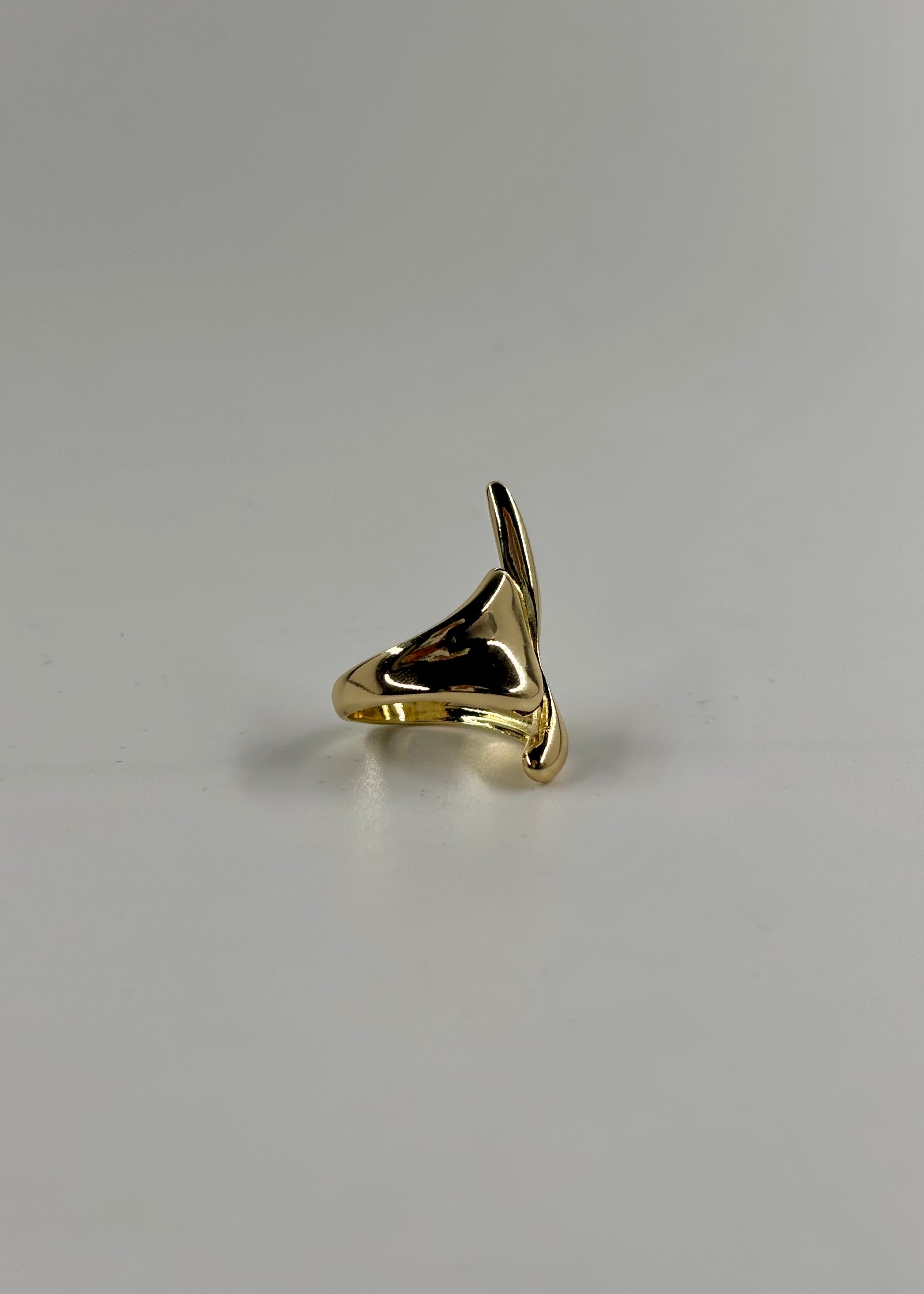 Anillo escurrido largo