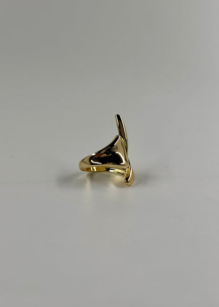 Anillo escurrido largo
