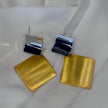 Aretes bicolor