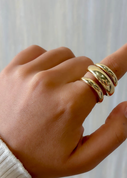 Anillo resorte