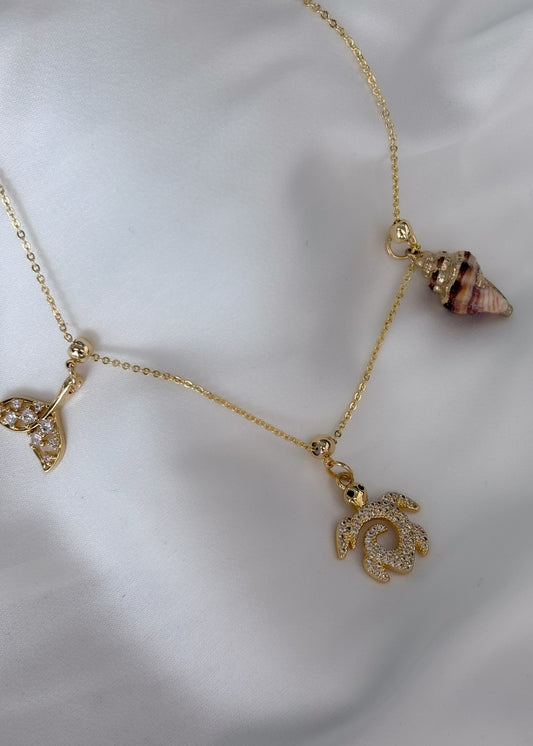 Collar mar