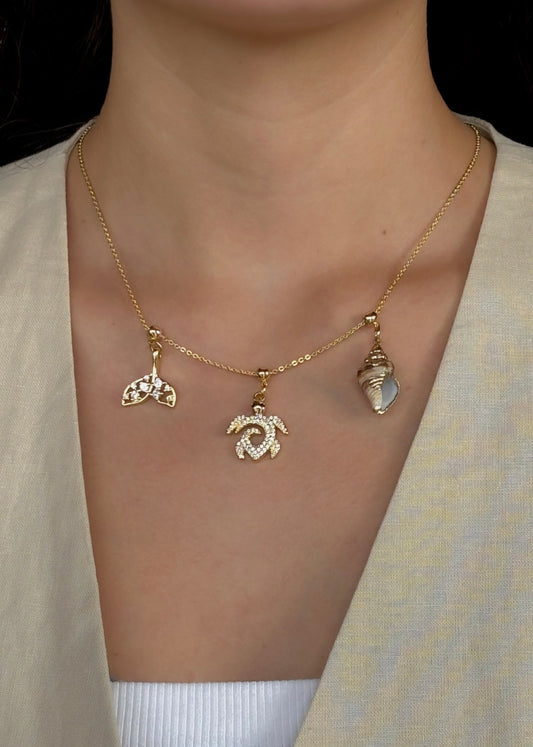 Collar mar