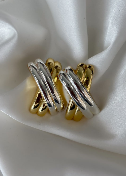 Arete X bicolor
