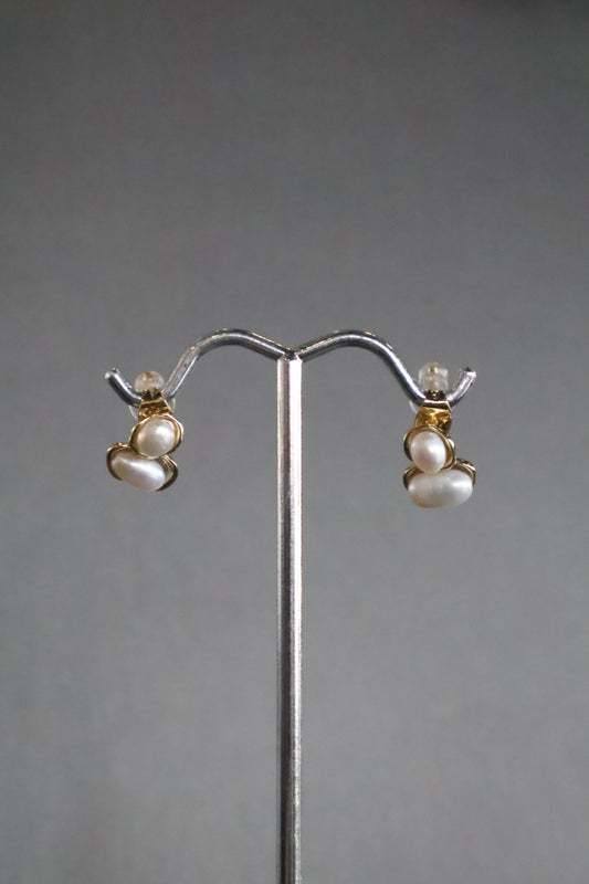 Aretes perlita