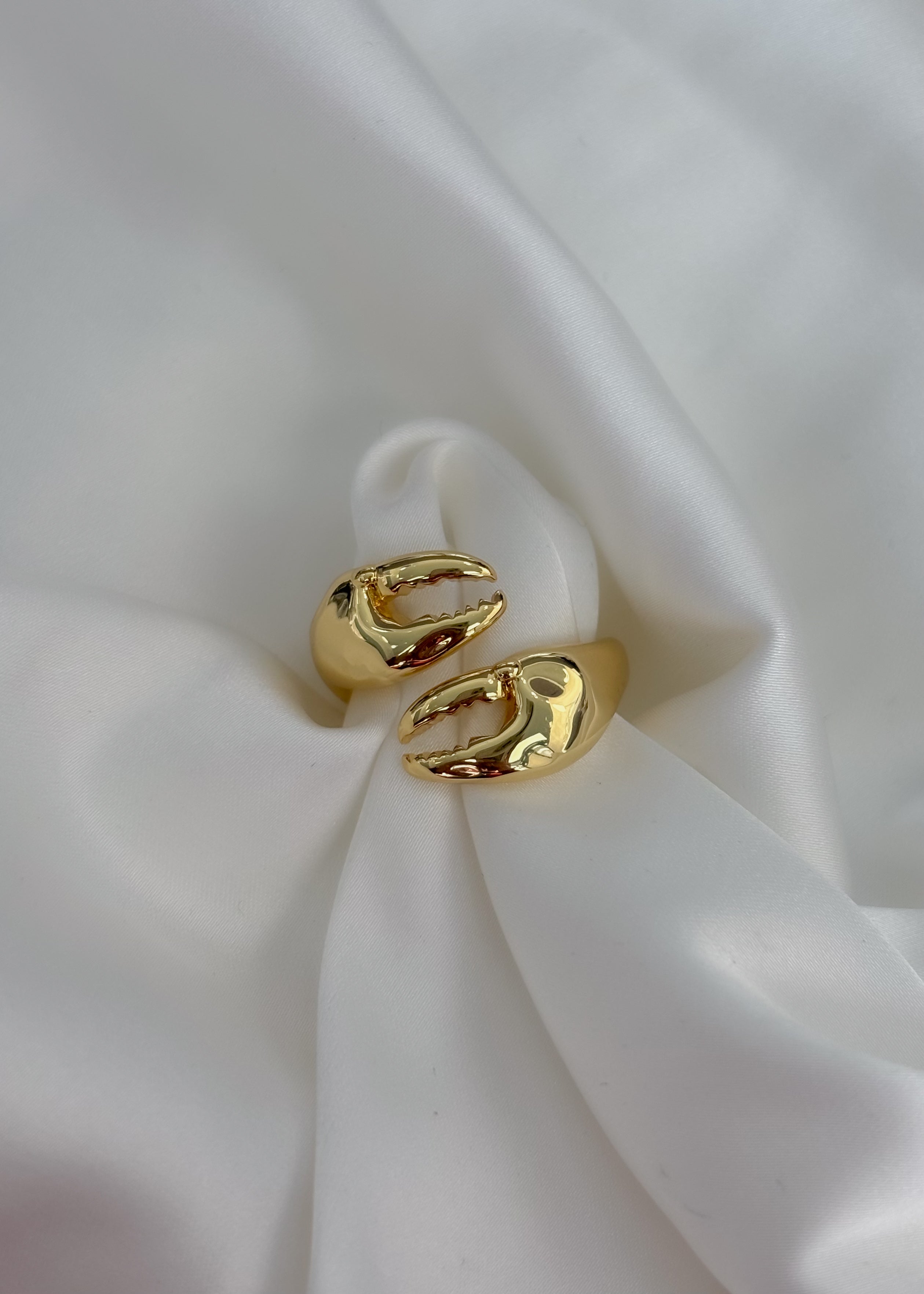Anillo langosta