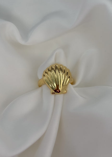 Anillo conchita chunky
