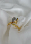 Anillo delfín