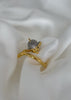 Anillo delfín