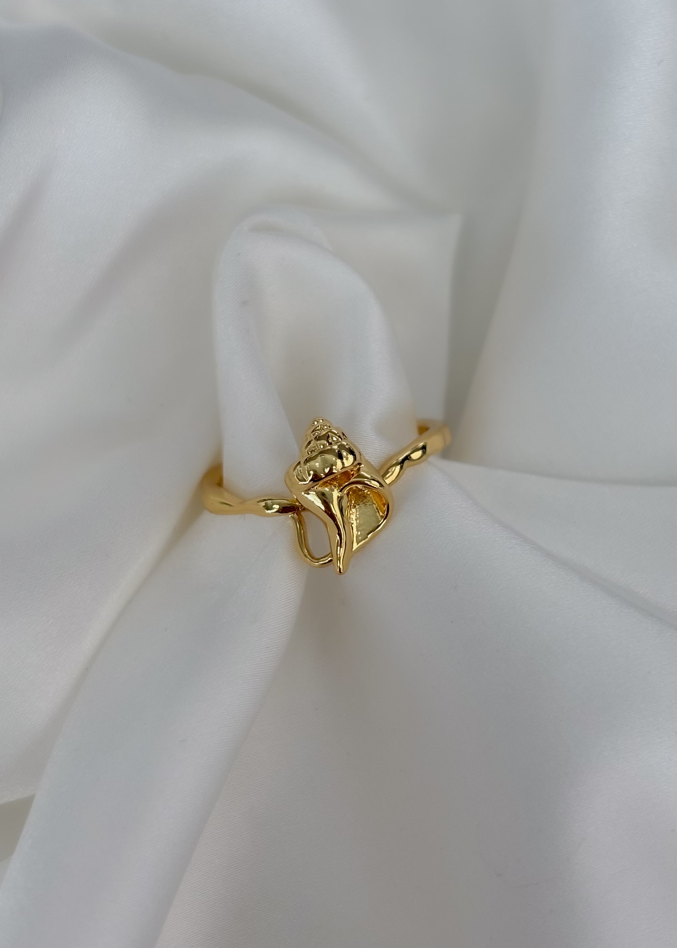 Anillo caracol de mar