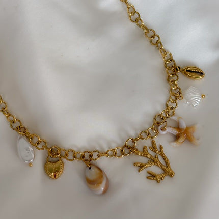 Collar sea