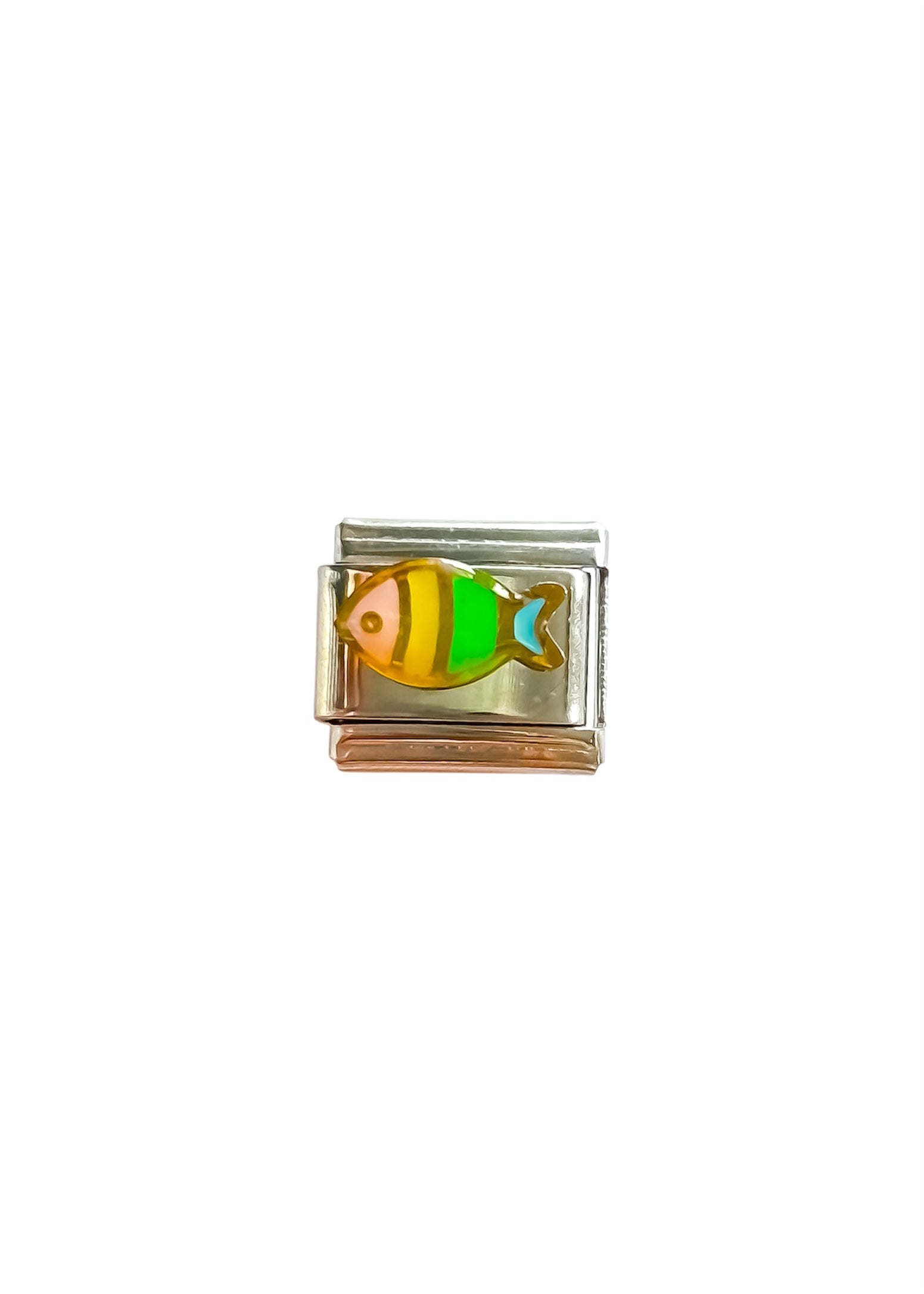 Charm pez colores