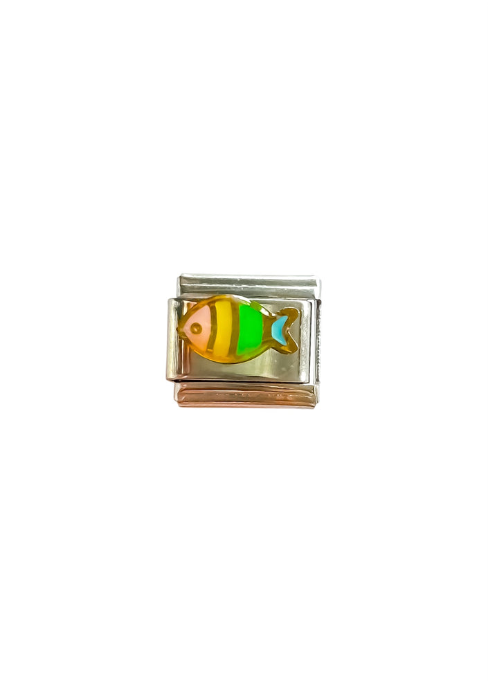 Charm pez colores