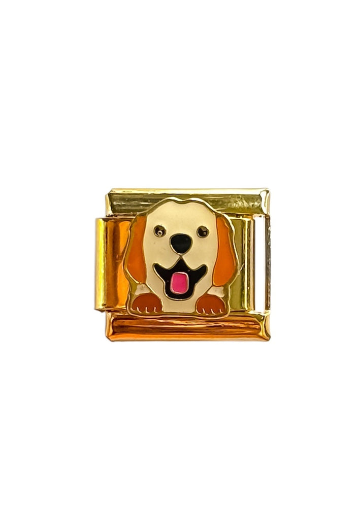 Charm perrito