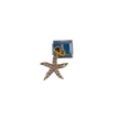 Charm con dije Estrella brillos